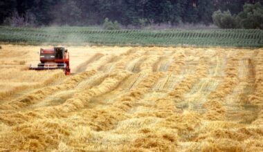 Nation-building starts in rural Canada