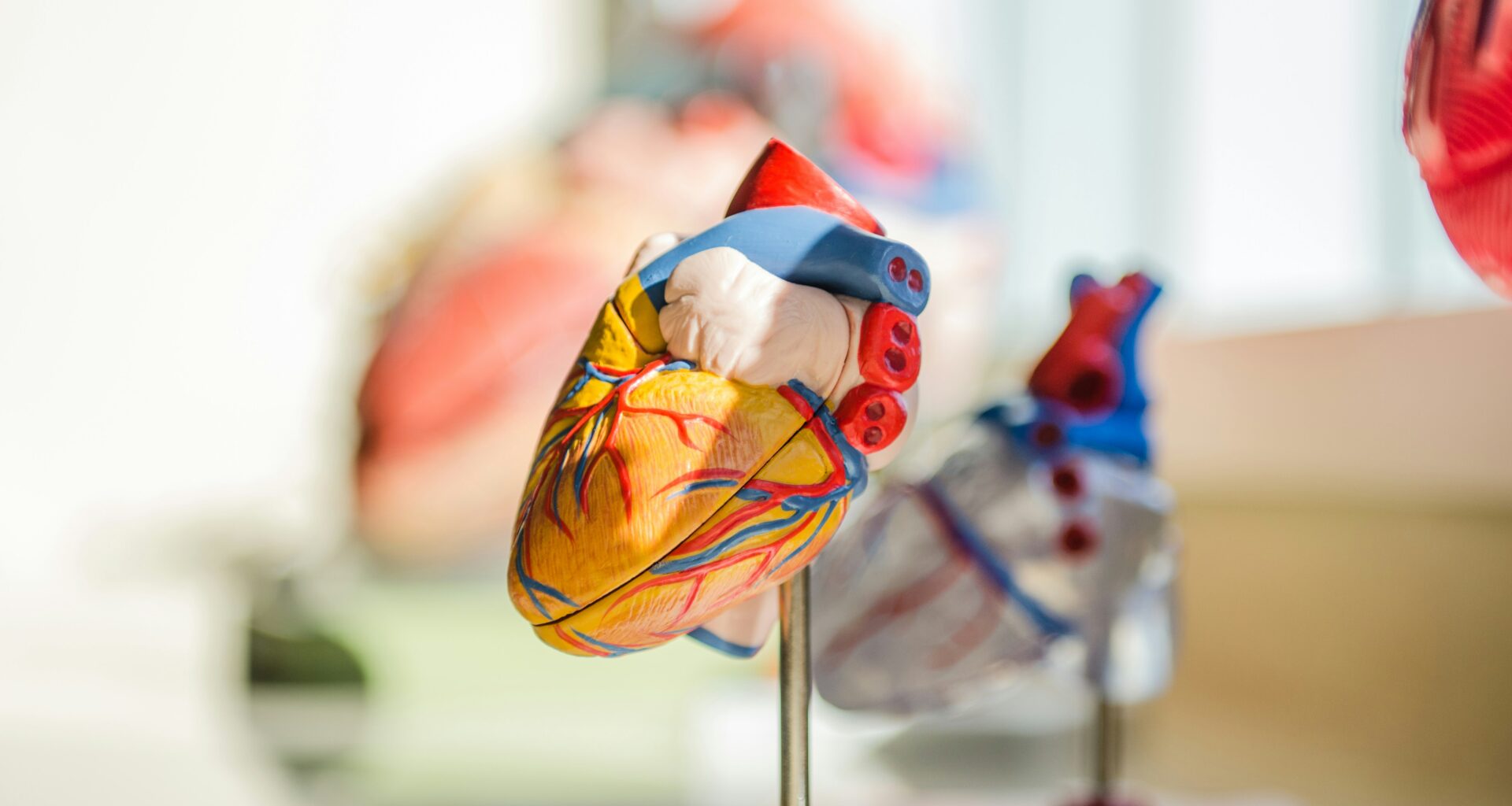 How Wearable Heart Technology Is Changing Heart Disease Prevention