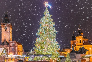 Photo: Shutterstock/Balate.Dorin