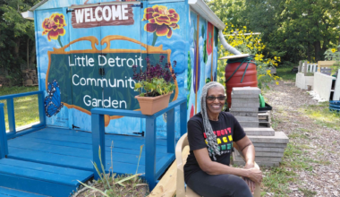 A year of reckoning for Michigan's environment