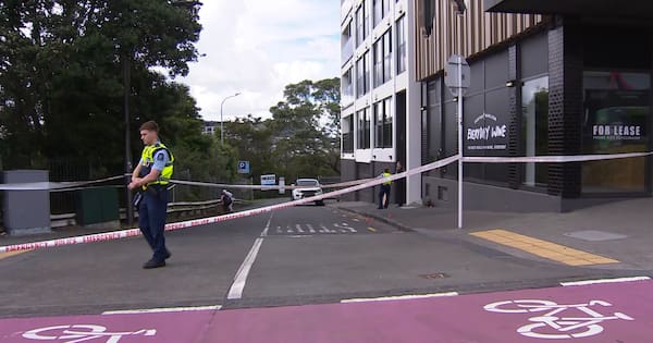 Mass brawl on Karangahape Rd leaves one critically injured, four arrested
