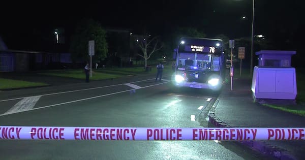 Man killed in Auckland bus stabbing named, accused killer in court