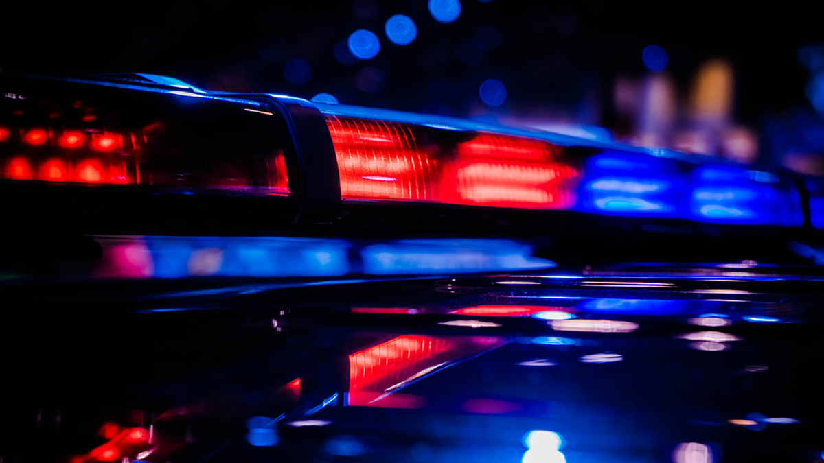 Springdale police charge man after shots fired outside From Italy Pizza