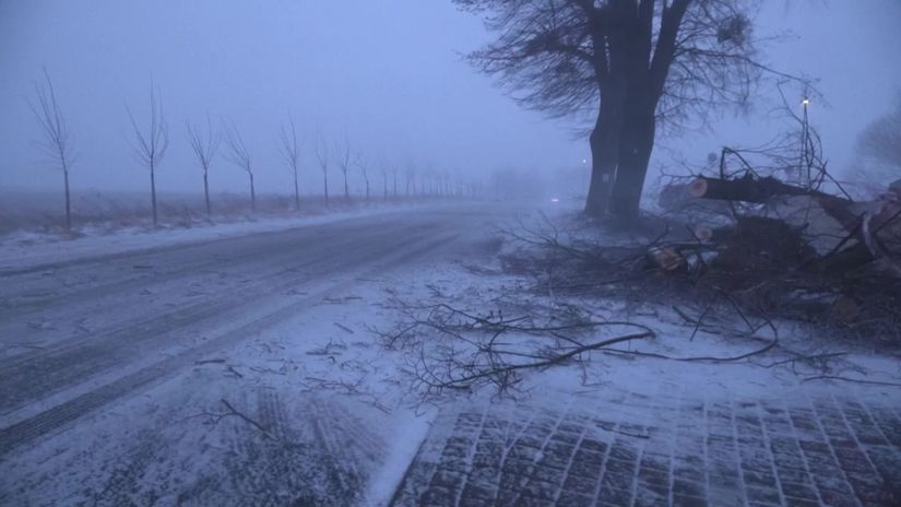 Snehové búrky na severe Poľska skomplikovali dopravu - Svet - Správy