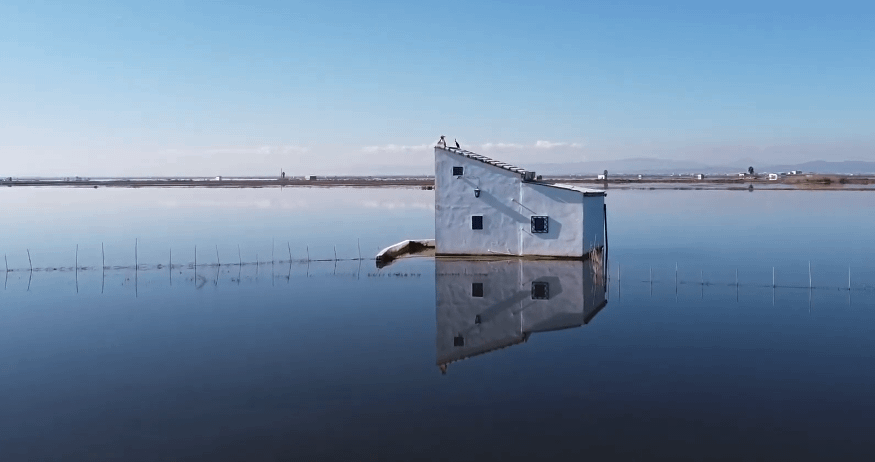 L'Albufera Rice Paddies