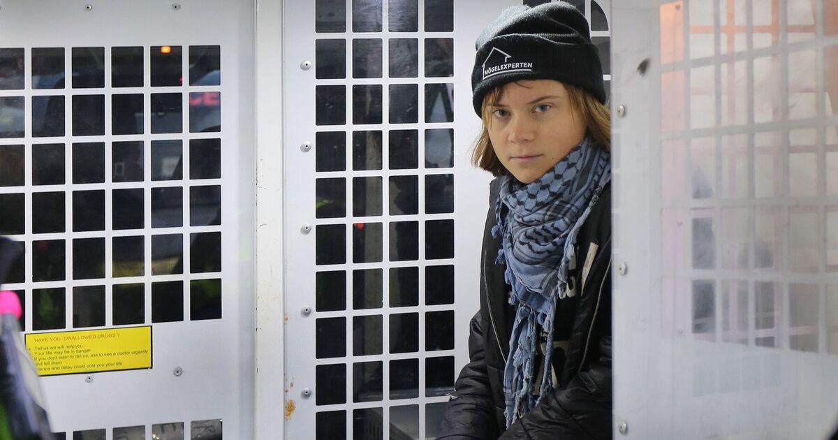 Greta Thunberg arrested under Terrorism Act for Palestine Action sign