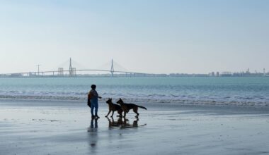 España y el turismo: medio siglo de transformaciones