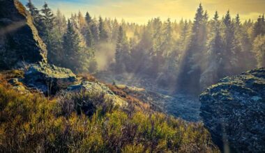 Am und auf dem Hohen Stein( Vysoký Kámen)