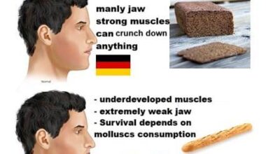 Too much white flour bread and pond animal conumption