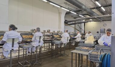 Industrial production up nearly 9% in October in Latvia / Article