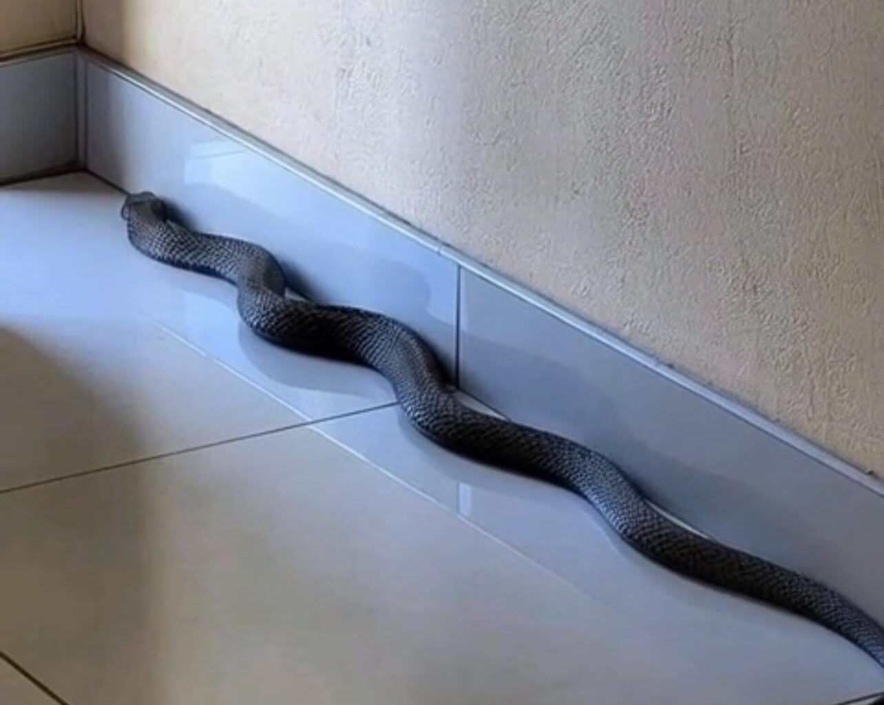 Test: Als Mann im Haus 🏠 Was würdet ihr als nächstes machen?