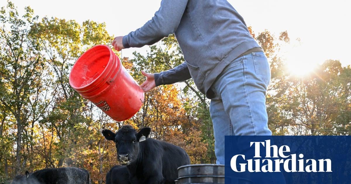 US farmers say Trump’s $12bn package not enough to undo damage from tariffs