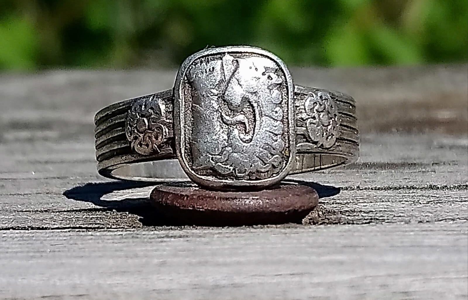 Identifying this ring
