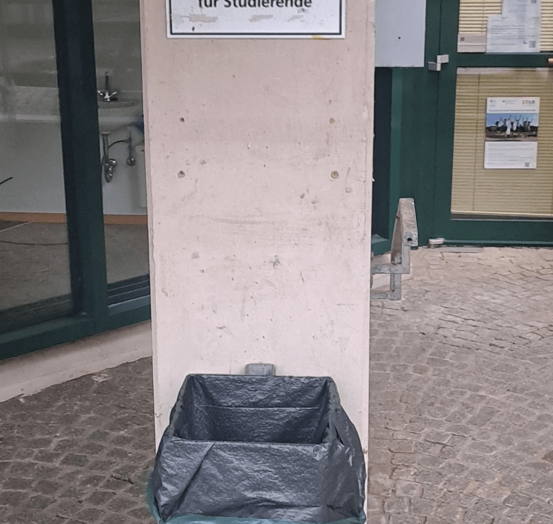 Status der mentalen Gesundheit Deutschland