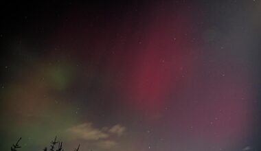 (Aurora)Anyone get luckier with the clouds tonight?