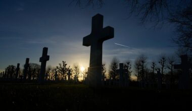 US removal of panels honoring Black soldiers at WWII cemetery in the Netherlands draws backlash