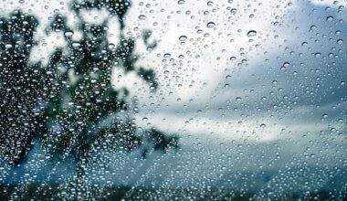 Wet, blustery start to week for large parts of the South Island