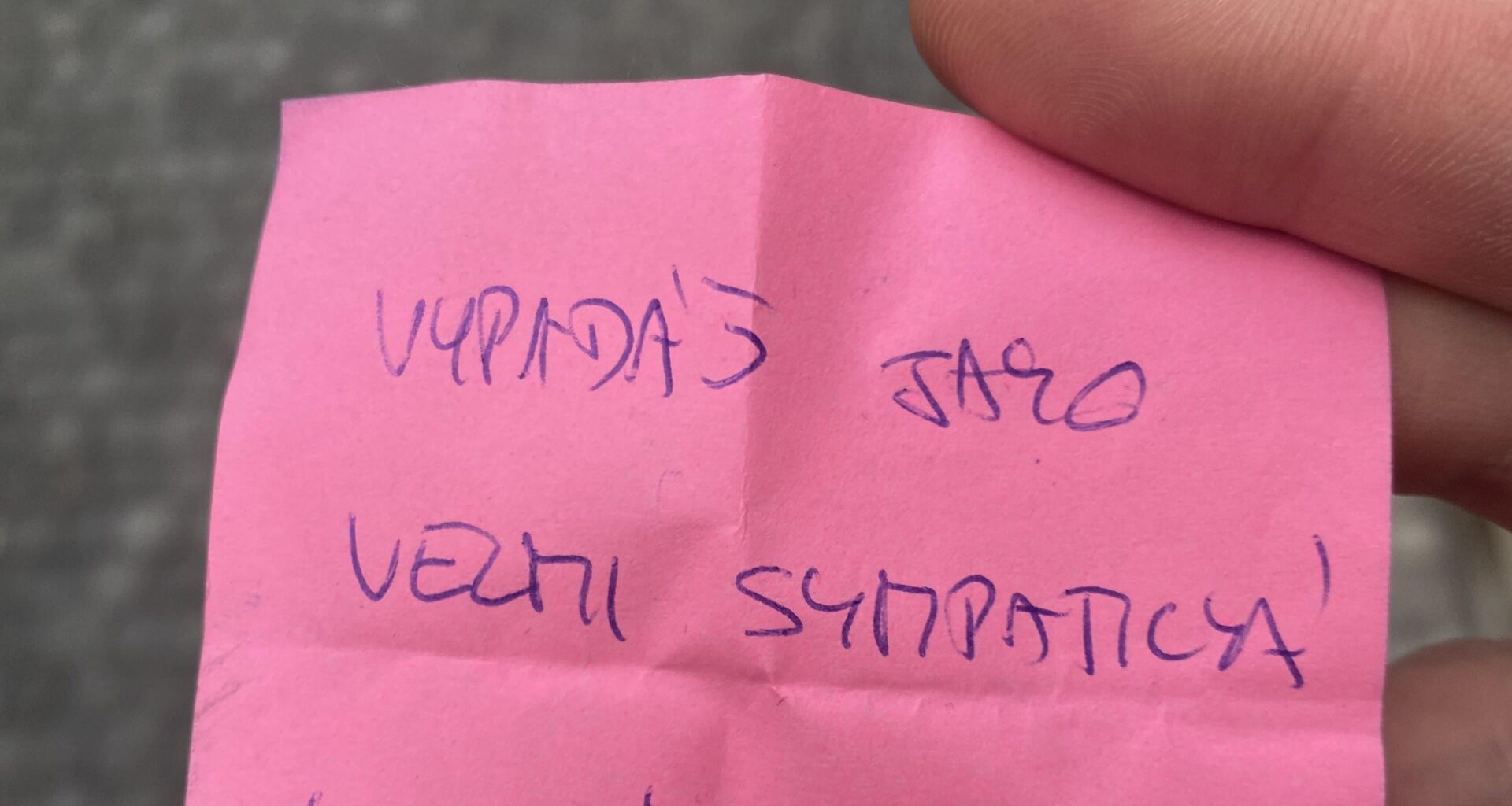 What does this text mean exactly?