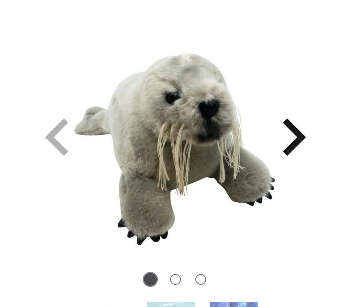 Proxy ship from Norway to US?