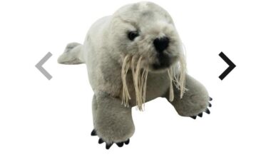 Proxy ship from Norway to US?