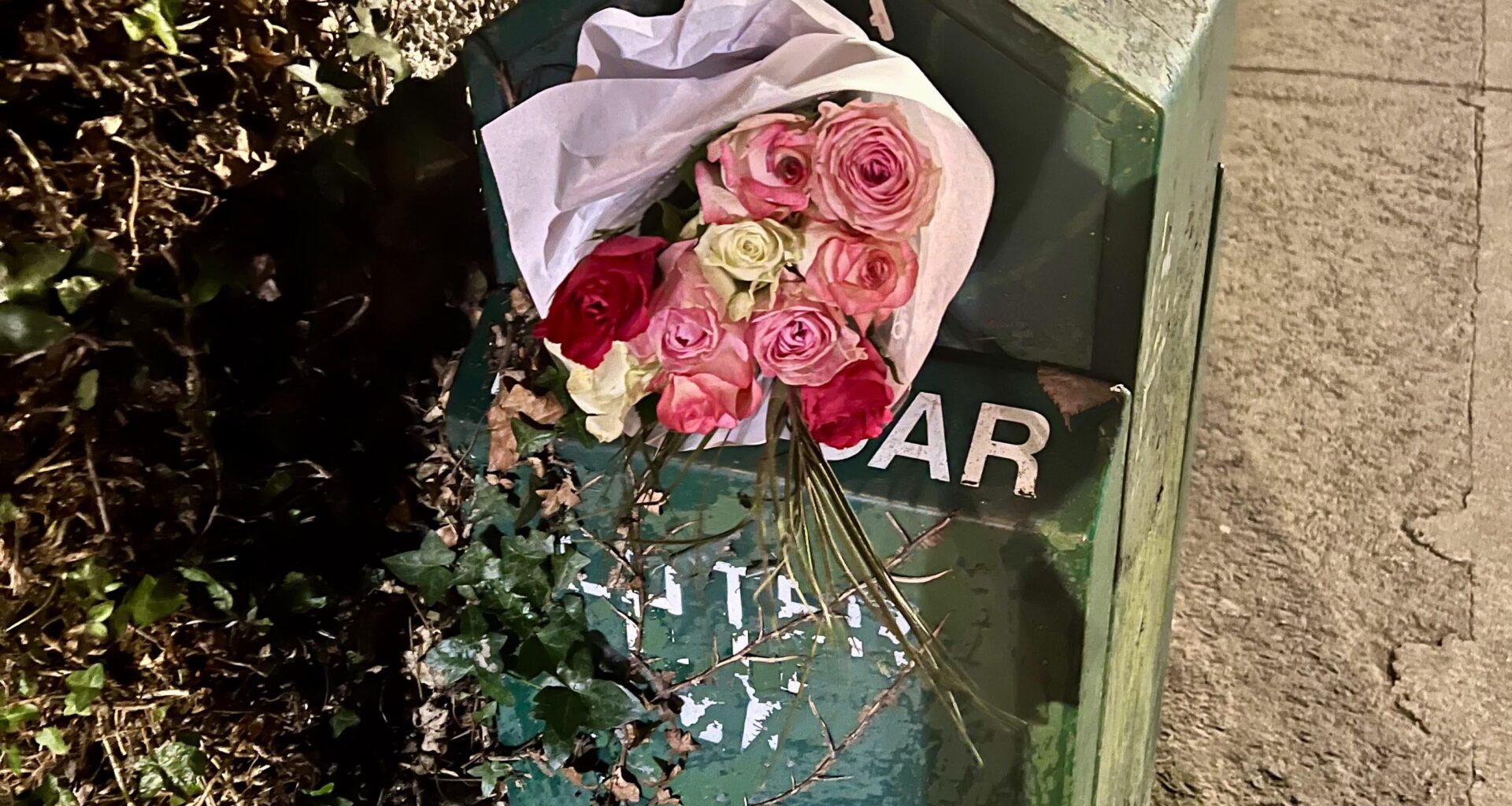 Story behind this? Wrong answers only.