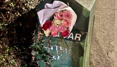 Story behind this? Wrong answers only.