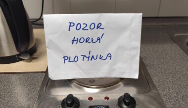 Že já do té práce vůbec chodím...