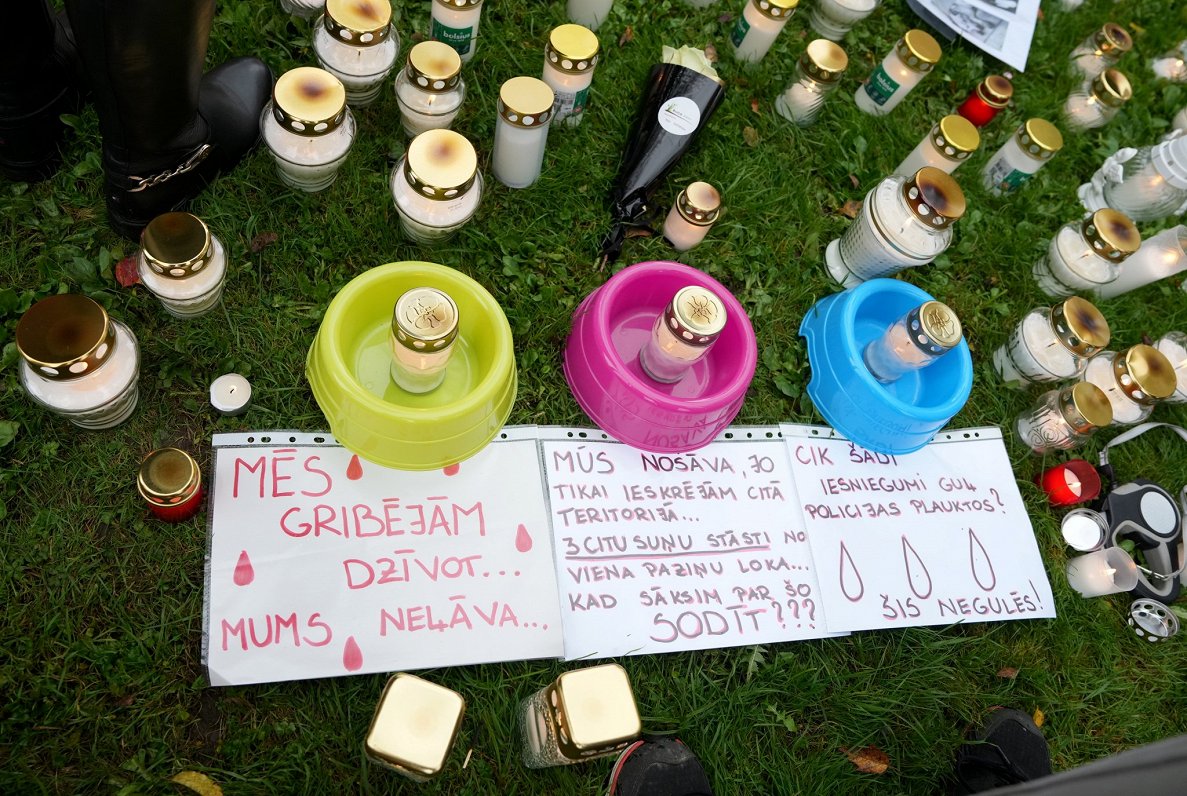 Piketā prasa Bauskas pa&scaron;valdības policijas priek&scaron;nieka atlai&scaron;anu