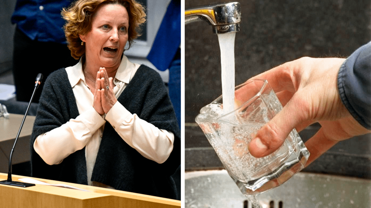Uit kwart van Vlaamse kraantjes stroomt water met te veel PFAS: “Let op met kleine kinderen”