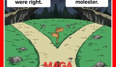 Decisions, Decisions, Decisions