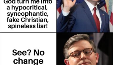 Mike Johnson offers irrefutable proof that Trump is innocent!