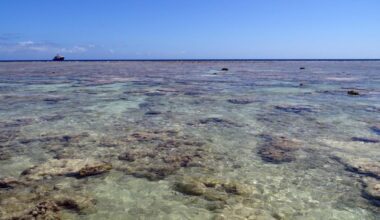 France has launched a new “strong marine protection zones” label across 63 sites in its waters – taking a concrete step towards a pledge made in June at the UN Ocean Summit in Nice