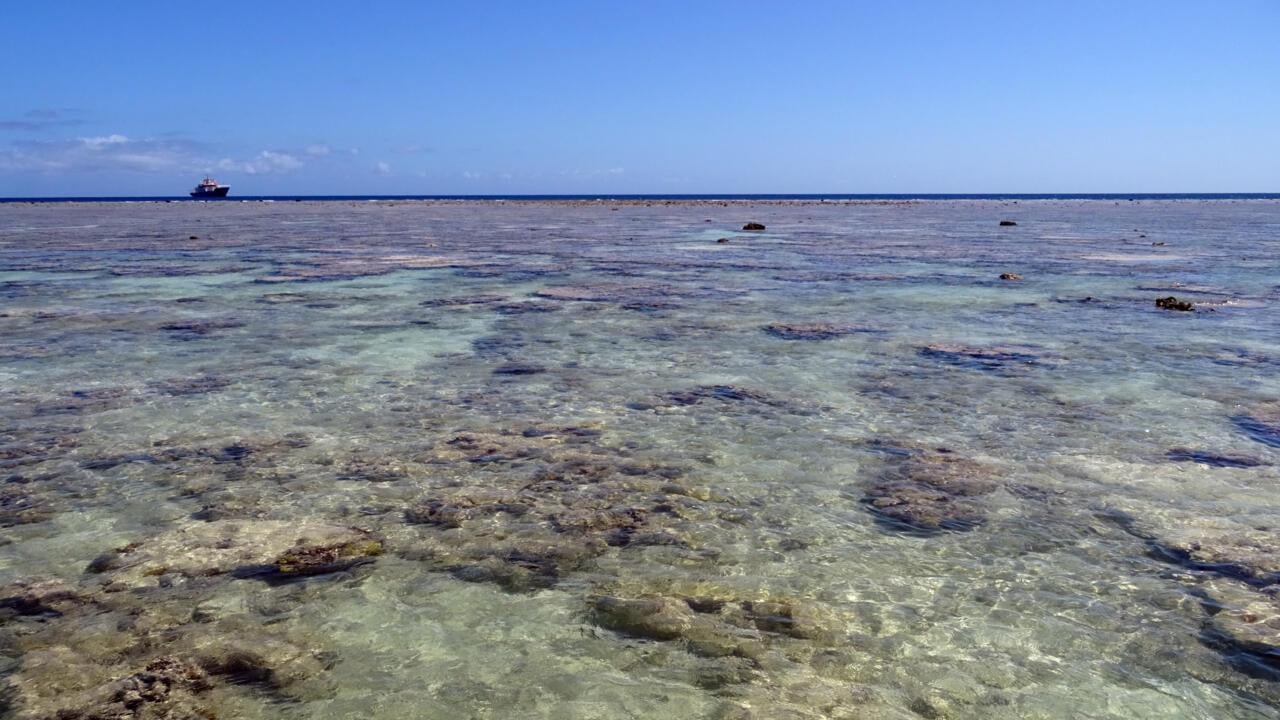 France has launched a new “strong marine protection zones” label across 63 sites in its waters – taking a concrete step towards a pledge made in June at the UN Ocean Summit in Nice