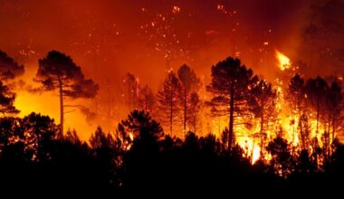 Some men may downplay climate change risks to avoid appearing feminine