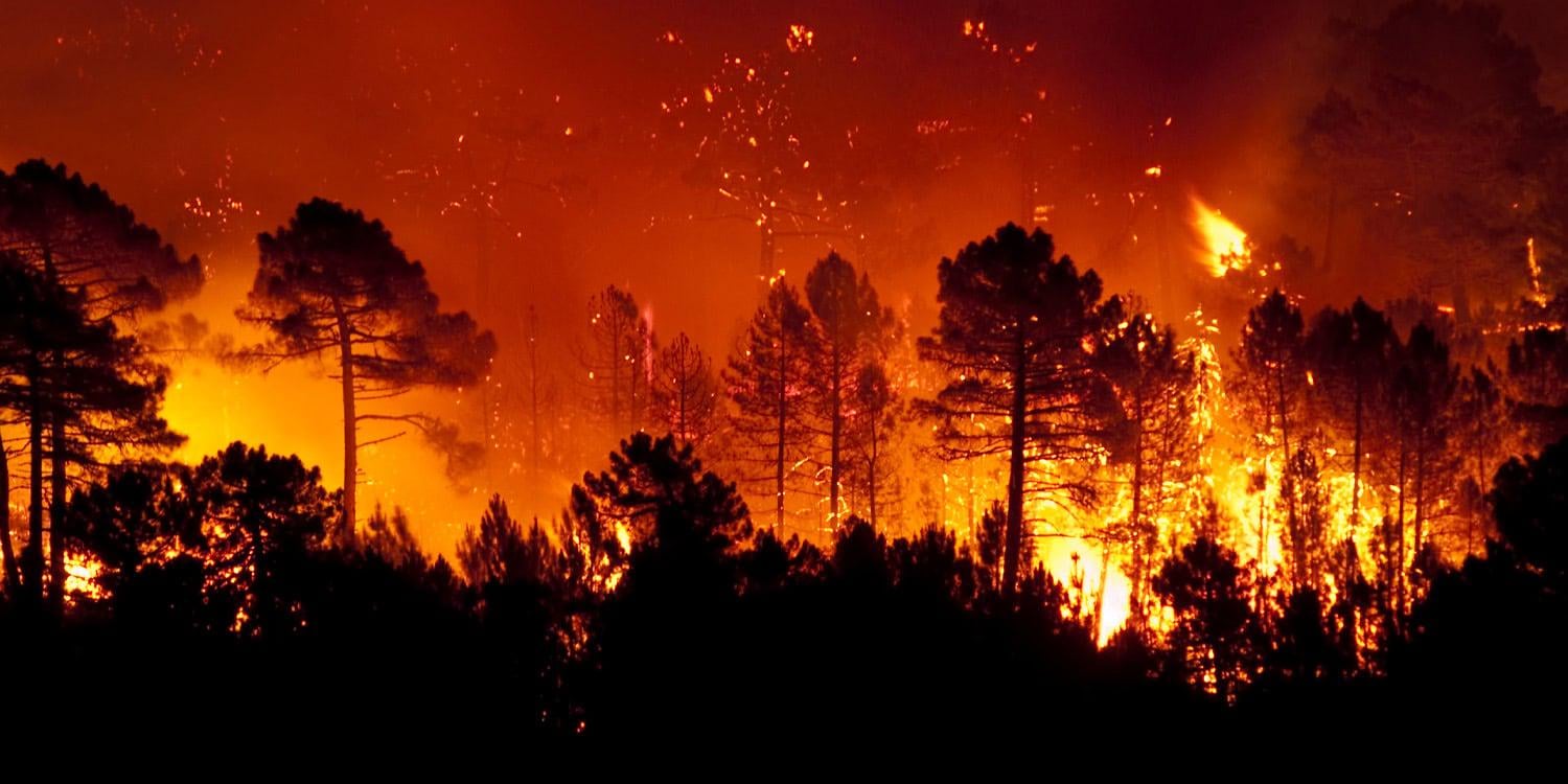 Some men may downplay climate change risks to avoid appearing feminine