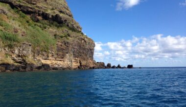 Portugal appears in Jeffrey Epstein's files