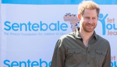 UK’s Prince Harry quits his African AIDS charity in dispute with leader – Mozambique