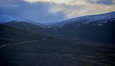 Driving to Scotland for 7 hours just for the weekend with 2 kids and a dog?