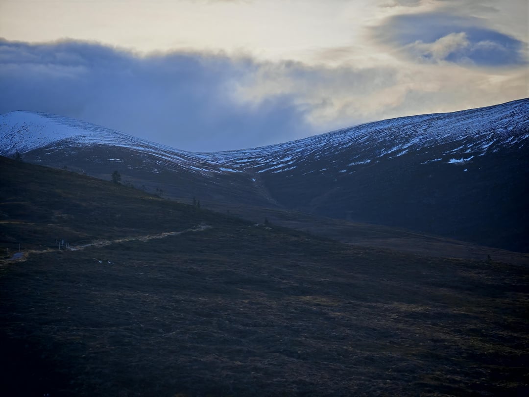 Driving to Scotland for 7 hours just for the weekend with 2 kids and a dog?