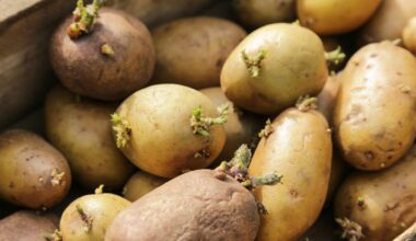 Luxembourg waters down organic farmland target