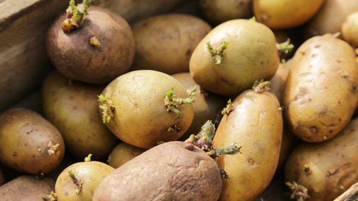 Luxembourg waters down organic farmland target