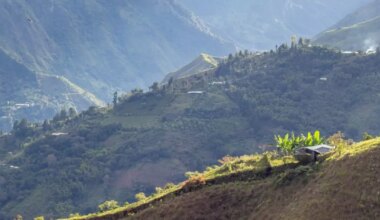 Climate Action | CGIAR-web