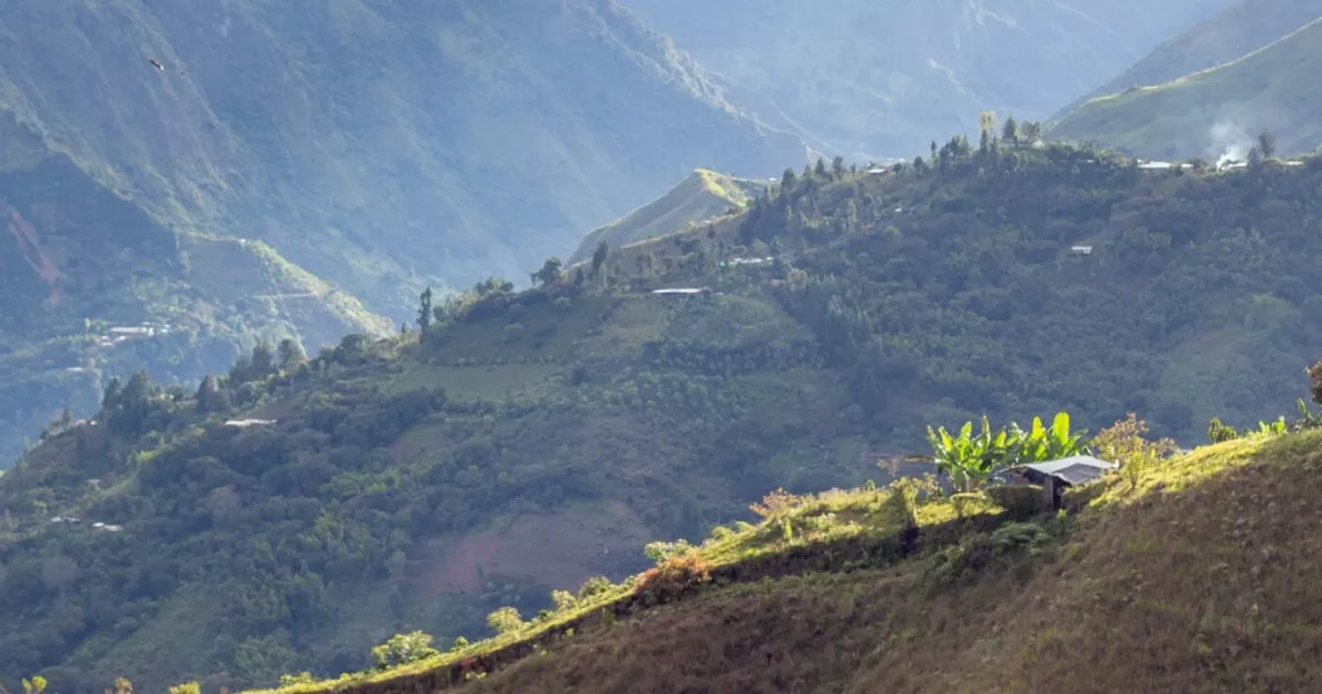 Climate Action | CGIAR-web