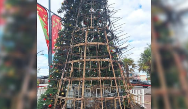 Man arrested after 'significant fire damage' to Timaru's Xmas tree