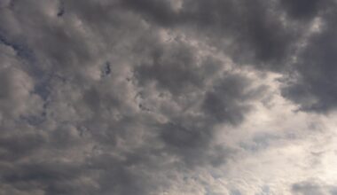 Sun, is that you? Oh – gone again