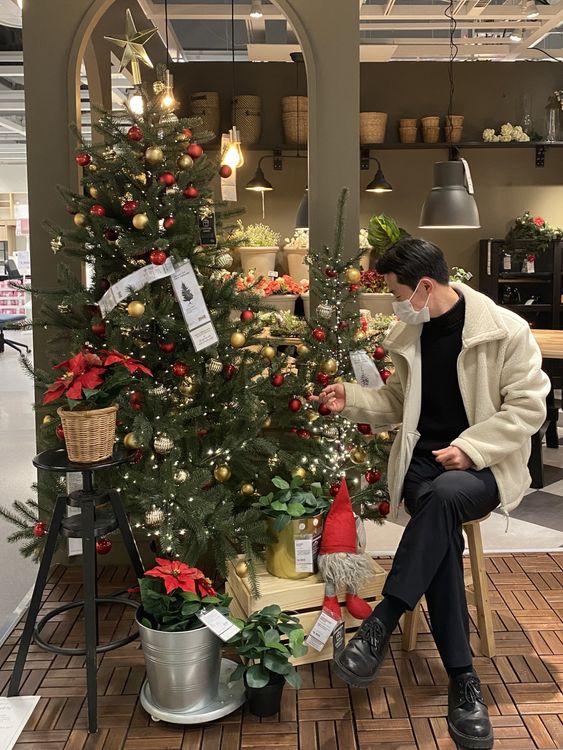 Il-yong Ju with a Christmas tree