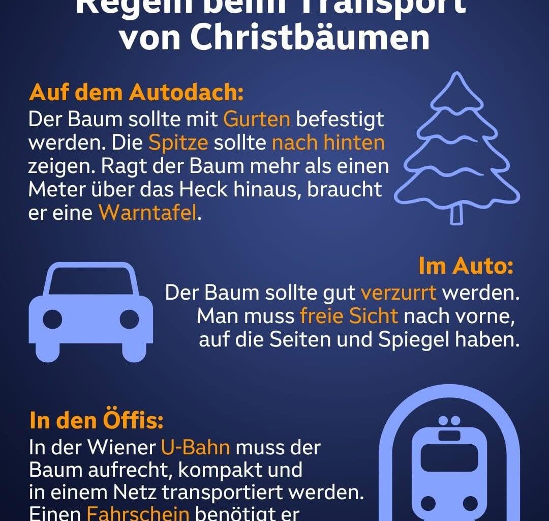 Baum braucht keinen Fahrschein, wie nett ☺️