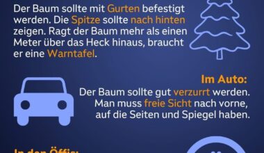 Baum braucht keinen Fahrschein, wie nett ☺️