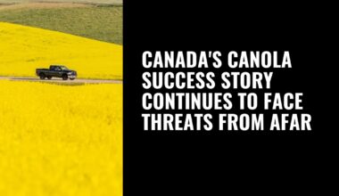 Canada's canola success story continues to face threats from afar