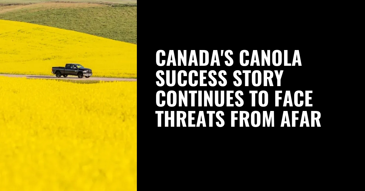 Canada's canola success story continues to face threats from afar